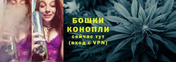 хмурый Михайловск