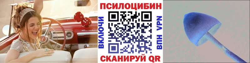 где купить   блэк спрут вход  Псилоцибиновые грибы Psilocybine cubensis  Починок 